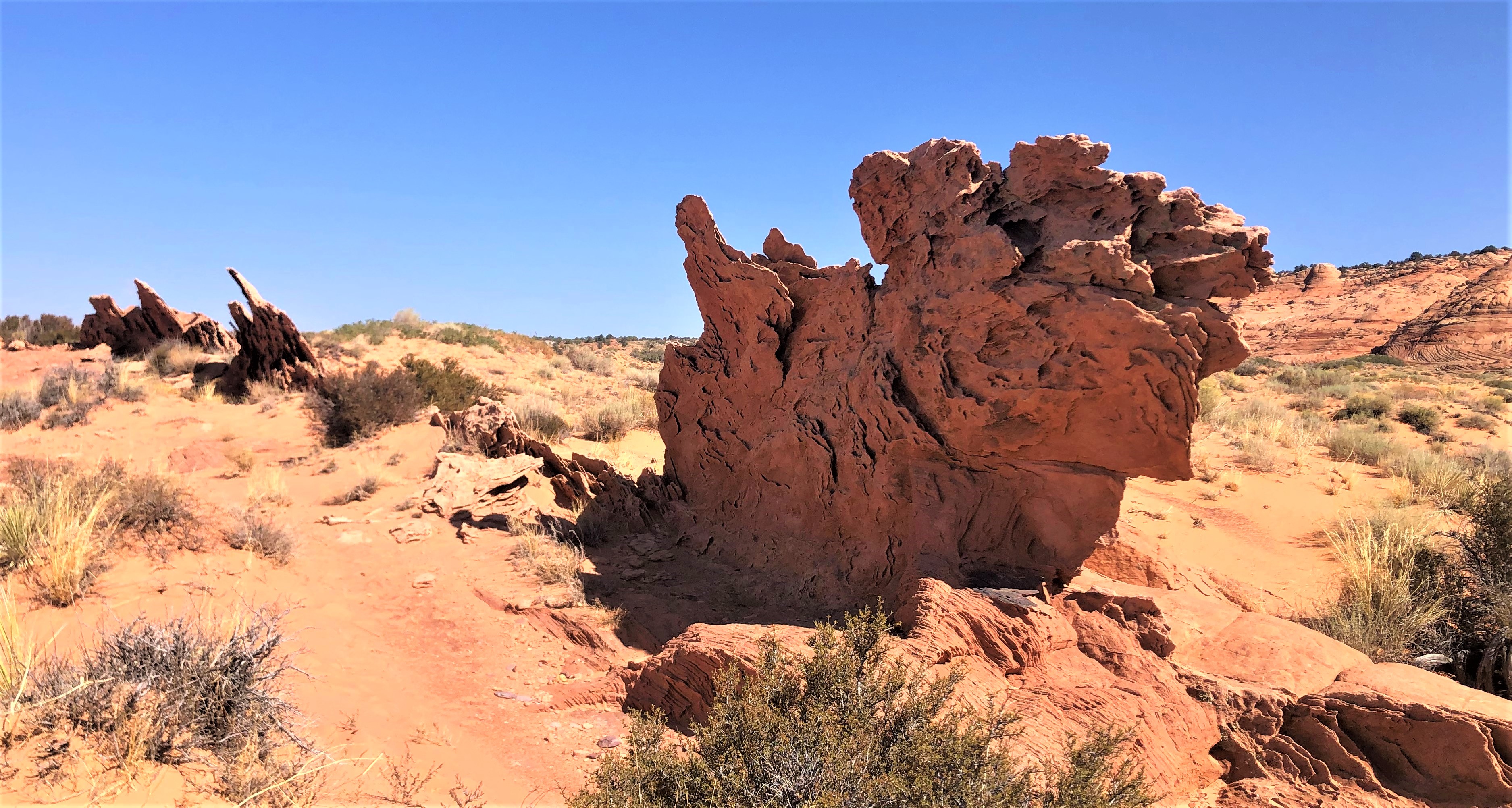 Vermillion Cliffs NM